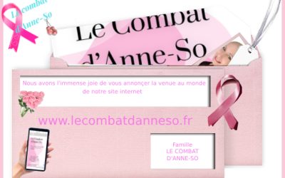 Naissance site internet